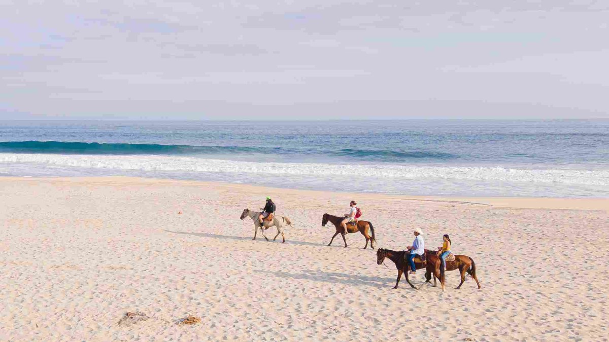 ¿Que tan dificil es la cabalgata en la playa? Todo lo que debes saber antes de montar por primera vez