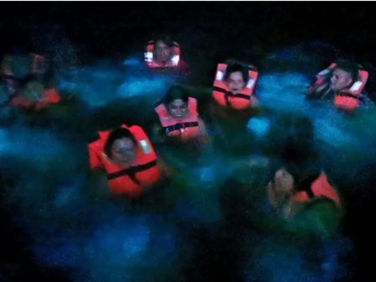 Lo que debes saber sobre la Bioluminiscencia en la laguna de Manialtepec