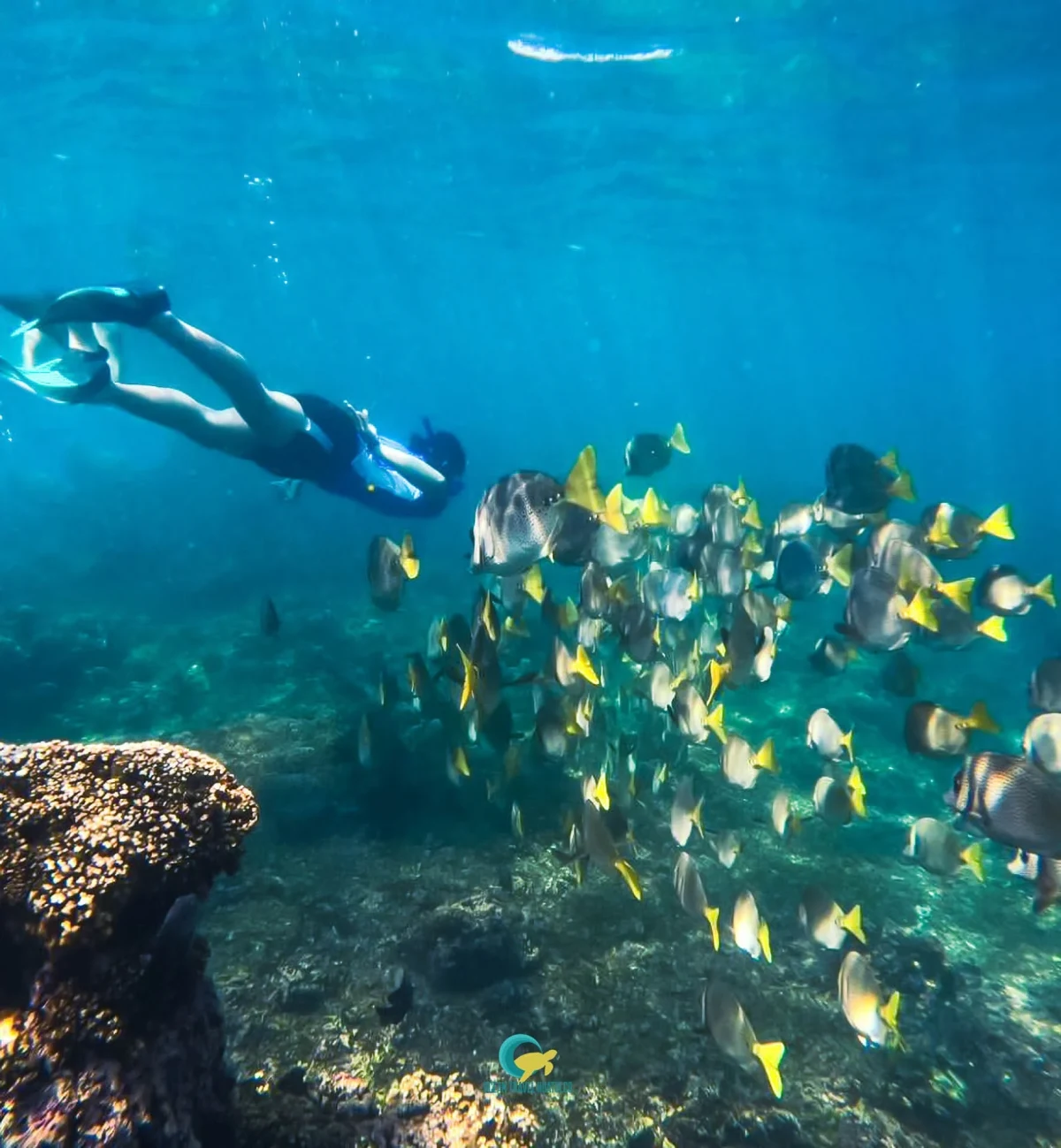 Todo lo que debes saber antes de hacer snorkel | Guía completa